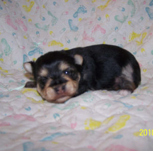 click here to see me grow!